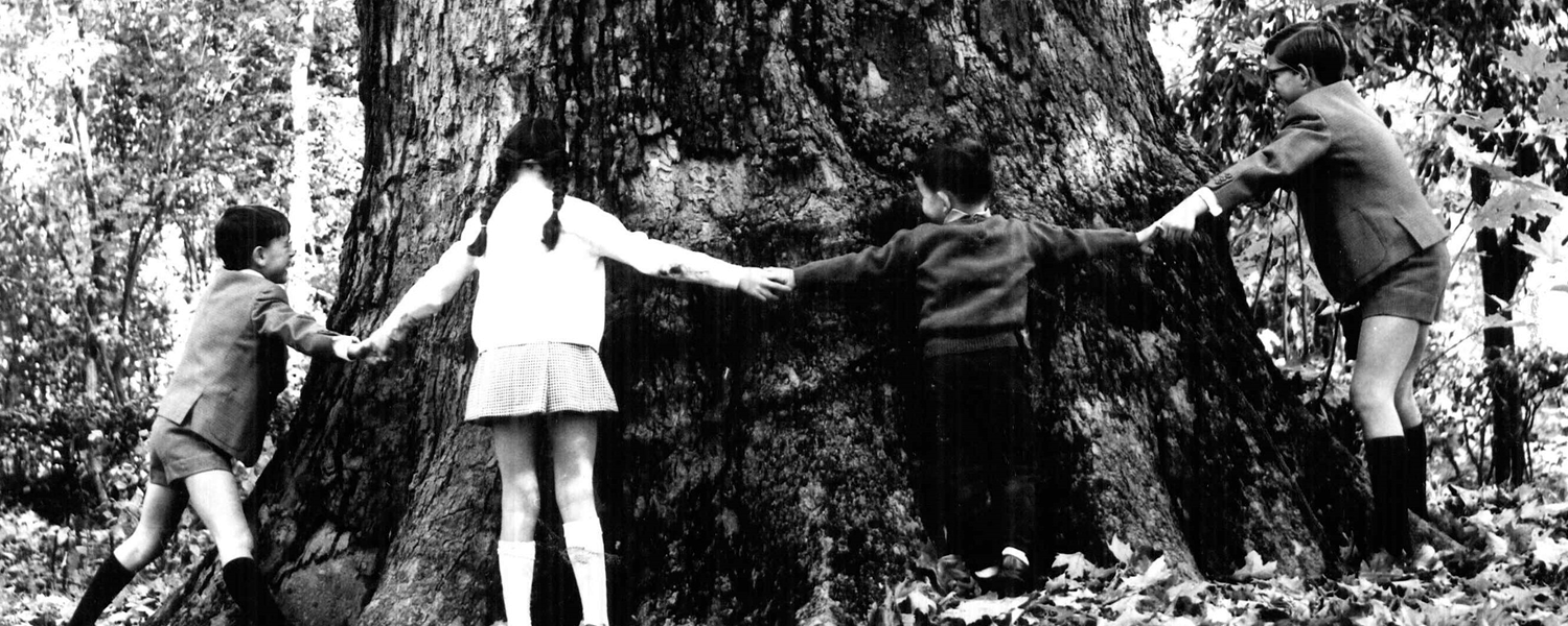 Archivo Fotográfico de Talavera