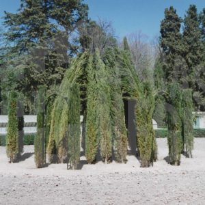 Cenador de Rusiñol deteriorado en el Jardín del Príncipe de Aranjuez