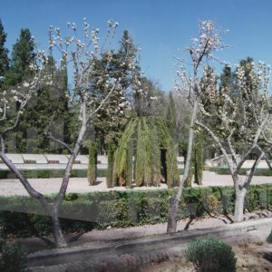 Cenador de Rusiñol deteriorado en el Jardín del Príncipe de Aranjuez