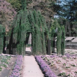 Cenador de Rusiñol en el Jardín del Príncipe de Aranjuez