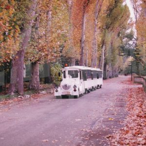 Tren Turístico (Chiquitrén) circulando por el interior del Jardín del Príncipe de Aranjuez