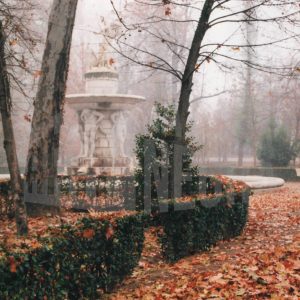 Detalle de la Fuente de Narciso en el Jardín del Príncipe en Aranjuez