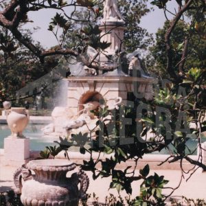 Detalle de la Fuente de Hércules y Anteo tras las ramas y hojas de un magnolio, en el Jardín del Parterre en Aranjuez