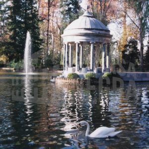 Un cisne delante del Pabellón Clásico en el Estanque Chinesco en el Jardín del Príncipe en Aranjuez