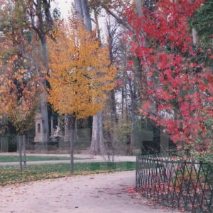 Zona cercana a la Fuente de Apolo en el Jardín del Príncipe en Aranjuez