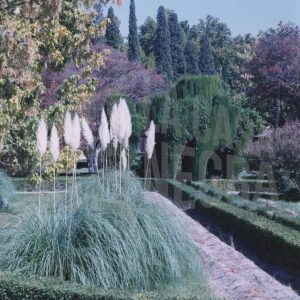 Cenador de Rusiñol, en el Jardín del Príncipe en Aranjuez