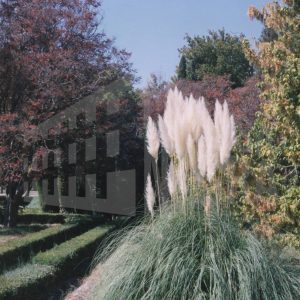 Cenador de Rusiñol, en el Jardín del Príncipe en Aranjuez