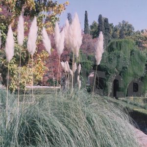 Cenador de Rusiñol, en el Jardín del Príncipe en Aranjuez