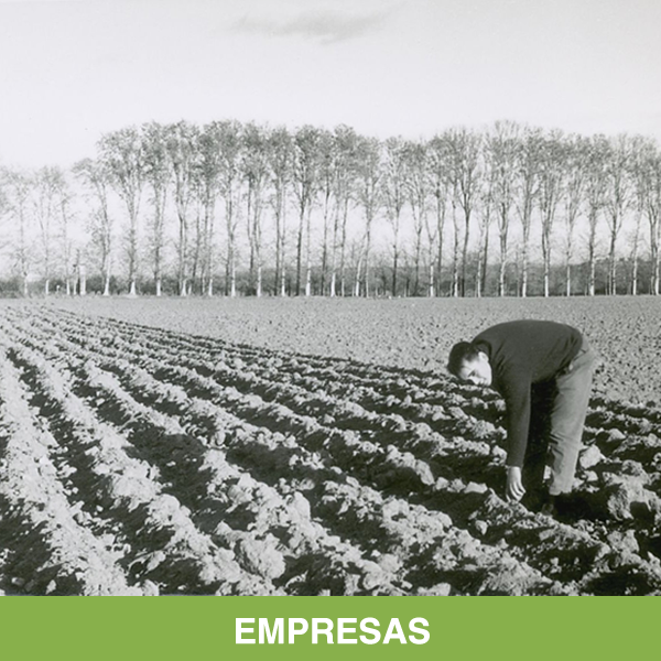 Empresas