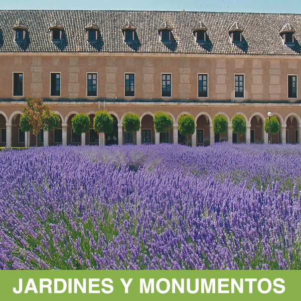 Jardines y monumentos