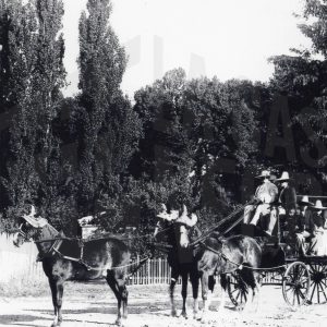 Cuatro hombres en un coche remolcado por dos bueyes en Aranjuez