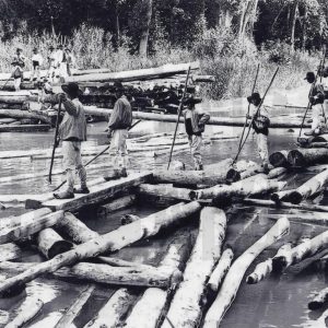 Varios gancheros durante una maderada a la orilla del río Tajo