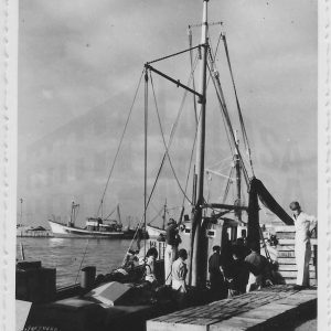 Barcos pesqueros en un puerto de mar