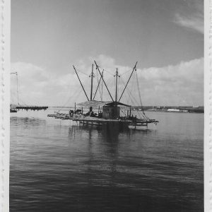 Pescadores laborando en un barco de pesca cerca de un puerto de mar