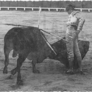 Escena taurina en Aranjuez