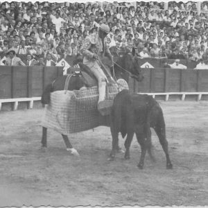 Escena taurina en Aranjuez