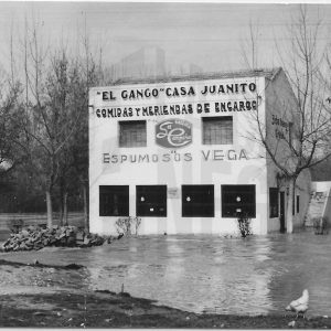 El Gango Juanito, en la zona de «Salivilla» junto al Puente de la Reina de Aranjuez, inundado por una crecida del río Tajo