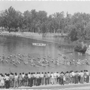 Competición de piraguas en el rio Tajo en Aranjuez