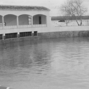 Inundación en el tentadero de la finca de Palomo Linares en Seseña