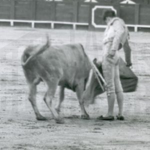 Toreando en la Plaza de Toros de Aranjuez