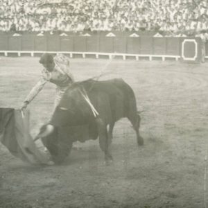 Lance en una corrida en la Plaza de Toros de Aranjuez