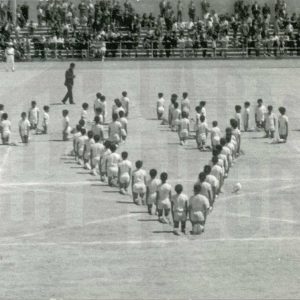 Formación de jóvenes gimnastas en forma de V en un campo deportivo ante el público