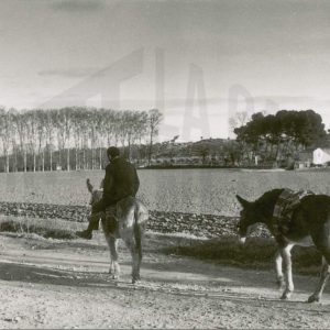 Un agricultor en un campo labrado en Aranjuez