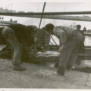 Pescadores descargando el pescado en cajas en el Puerto de Alicante