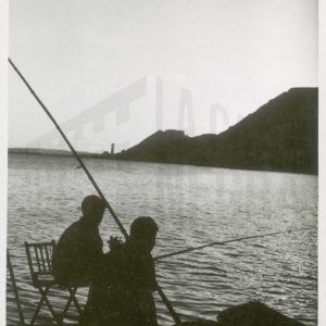Pescadores atracando el barco en el Puerto de Alicante