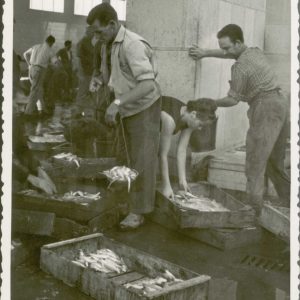 Trabajadores preparando el pescado para la venta
