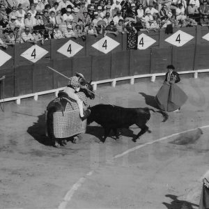 Picador realizando su tarea durante una corrida de toros en Aranjuez