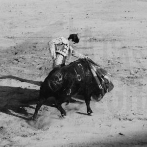 Torero dando un pase al toro con la muleta en la Plaza de Toros de Aranjuez