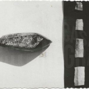 Restos arqueológicos encontrados en la Yesería