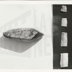 Restos arqueológicos encontrados en la Yesería