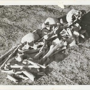 Restos humanos encontrados en la Yesería