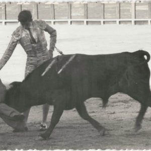 Torero durante una corrida en la Plaza de Toros de Aranjuez