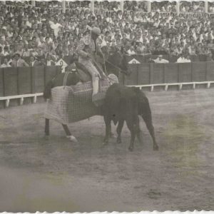 Picador picando al toro en la Plaza de Toros de Aranjuez