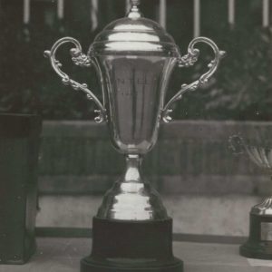 Copa trofeo