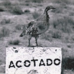 Perdiz disecada sobre el letrero «ACOTADO»
