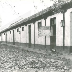 Cuadras de caballos de carreras «Conde de la Cimera» en Aranjuez