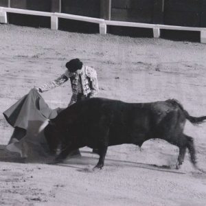 Lance de Fran Rivera en la Plaza de Toros de Aranjuez