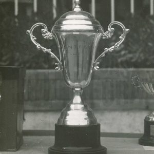 Copa de trofeo