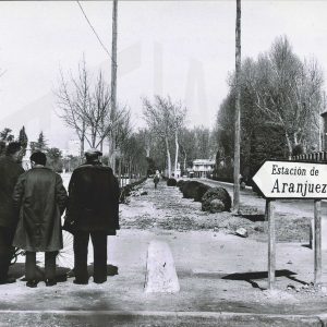 Tres personas durante la repoblación forestal en la Plaza de San Antonio  de Aranjuez
