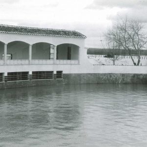 Inundación en el tentadero de la finca de Palomo Linares en Seseña