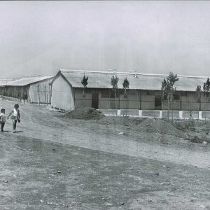 Barracones construidos por Patrimonio Nacional en Aranjuez para alojar a los inquilinos de La Regalada y la Casa del Abanico por derribo