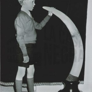 Niño junto a un colmillo de elefante en Aranjuez