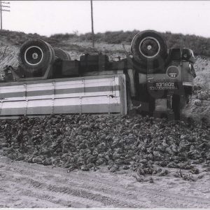 Camión de remolacha volcado