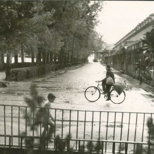 Un hombre en bicicleta por la Avenida de Palacio en Aranjuez