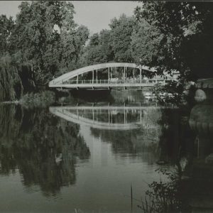 El Puente Barcas desde el Jardín del Parterre en Aranjuez