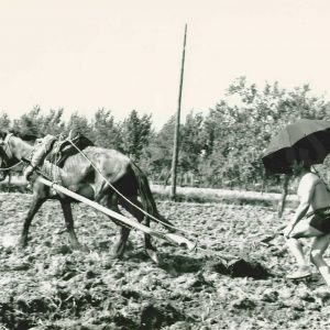 Agricultor con un paraguas arando el campo